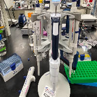 Mixed Single and Multichannel Pipettes image 1